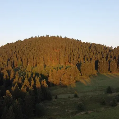 Apartamento Fewo Zella-Mehlis *